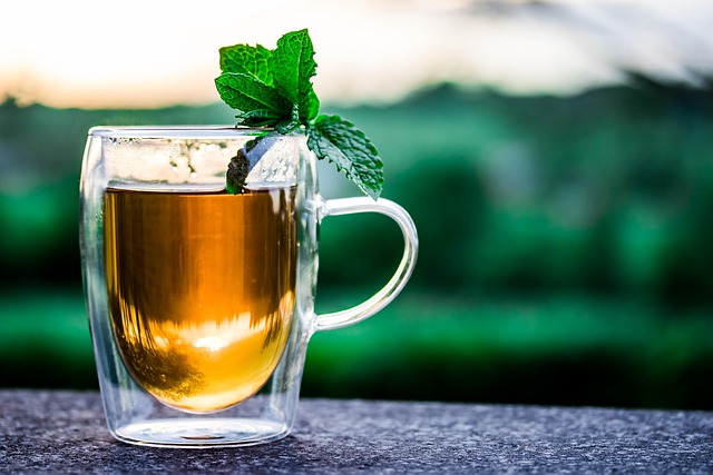 Kratom a antibiotika